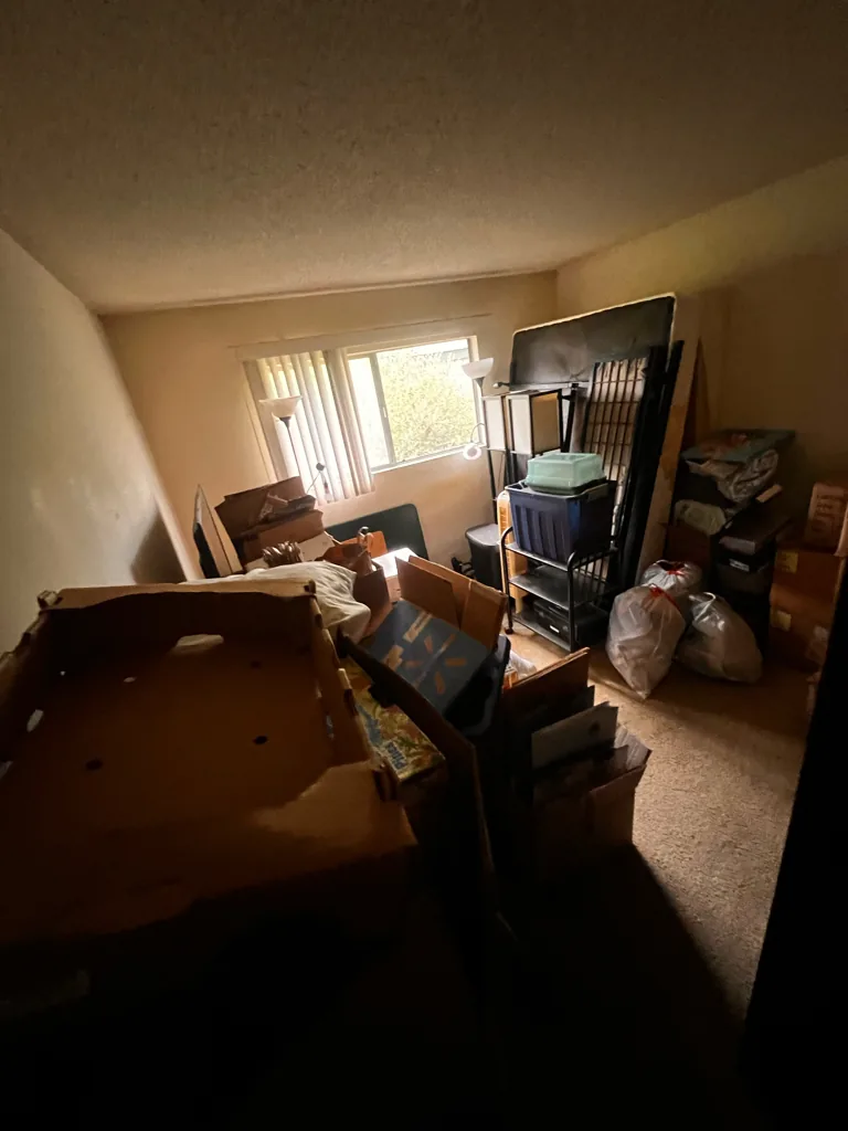 Indoor clutter and boxes cleared from an Orange County home