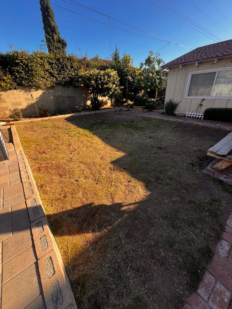 Cleared backyard after yard debris removal in Orange County, CA